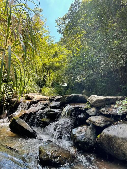 醴陵天气预报15天，醴陵天气预报15天准确率？-第3张图片-优品飞百科