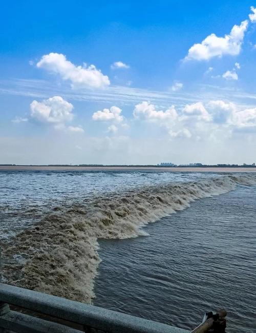 杭州市上城区天气预报？杭州市上城区天气预报30天？-第4张图片-优品飞百科