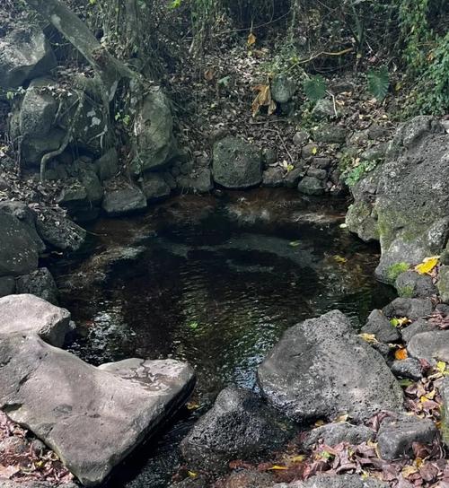 海南省定安县天气预报？海南省定安县天气预报四？-第5张图片-优品飞百科