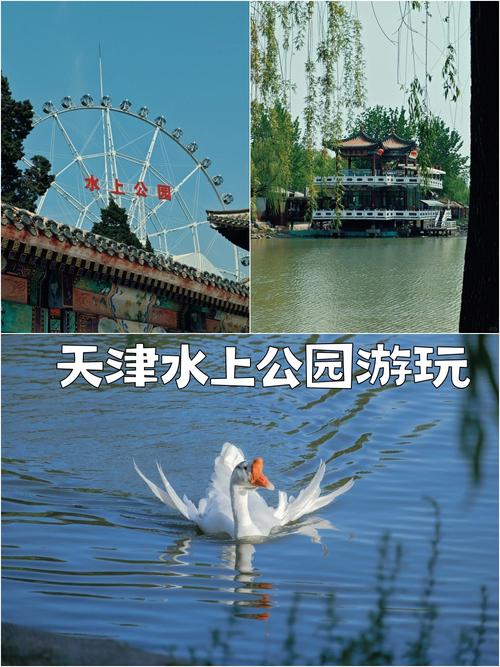 天津市南开区天气预报，天津市南开区天气预报一周？-第4张图片-优品飞百科