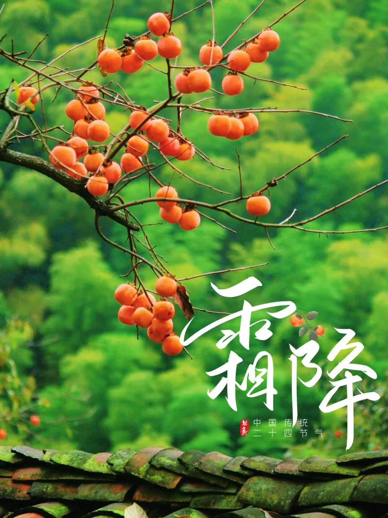 河南临颍天气预报，临颍天气预报？-第3张图片-优品飞百科