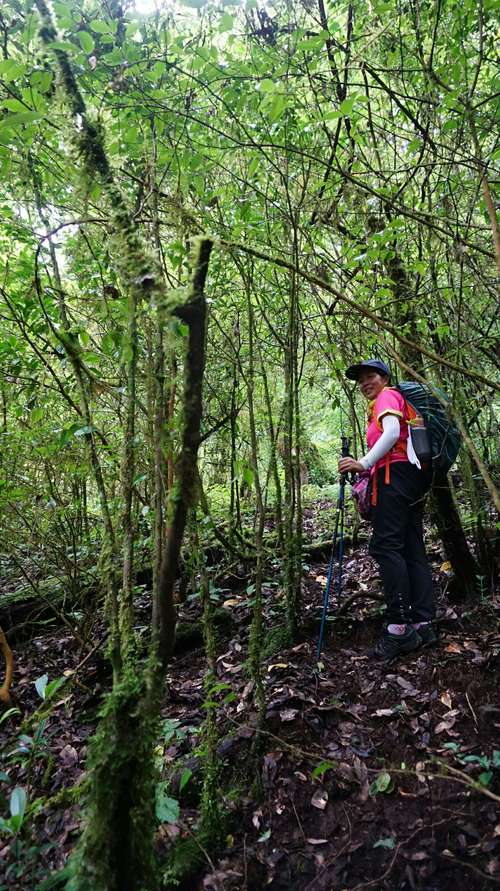 云南省昆明市天气预报？云南大理昆明天气预报15天？-第5张图片-优品飞百科