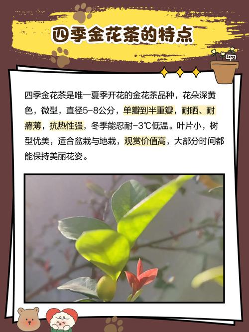 崇左市天气预报，广西天气预报15天查询？-第3张图片-优品飞百科