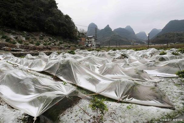 崇左市天气预报，广西天气预报15天查询？-第4张图片-优品飞百科