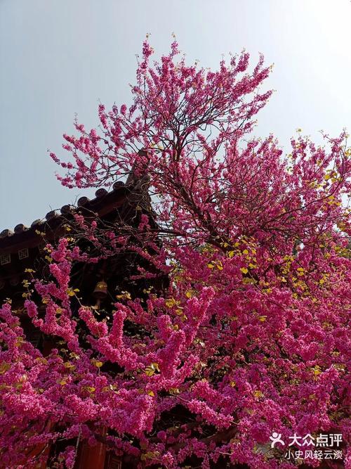 天杭州天气预报15天,2345杭州天气预报15天-第2张图片-优品飞百科 天杭州天气预报15天,2345杭州天气预报15天-第2张图片-优品飞百科