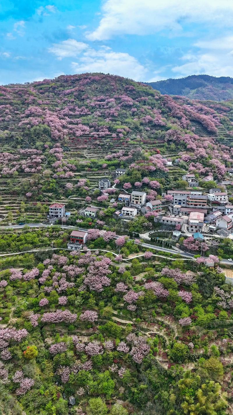 余姚梁弄天气预报？余姚梁弄一日游攻略？-第1张图片-优品飞百科