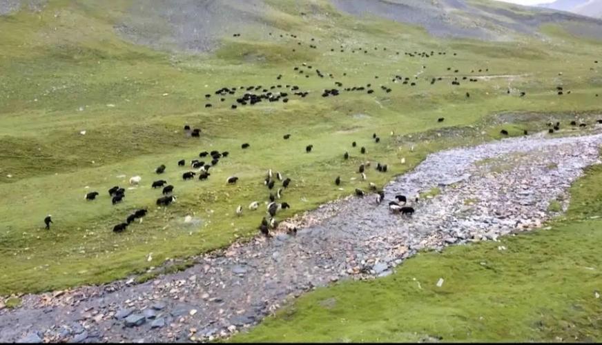 西藏天气预报七天查询？西藏天气预报图？-第2张图片-优品飞百科