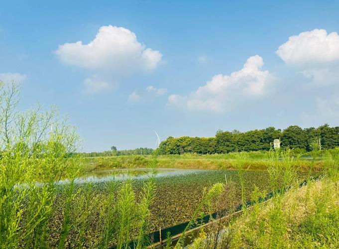 天气预报崇明？天气预报崇明区15天？-第2张图片-优品飞百科