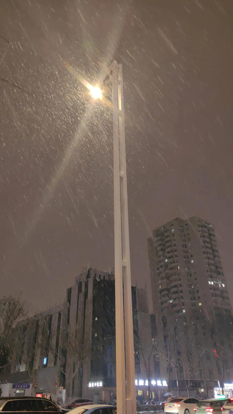 天气预报最近30天那天下雪了，天气预报下雪吗-第3张图片-优品飞百科