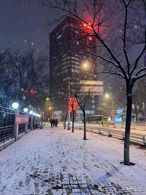 天气预报最近30天那天下雪了，天气预报下雪吗-第4张图片-优品飞百科