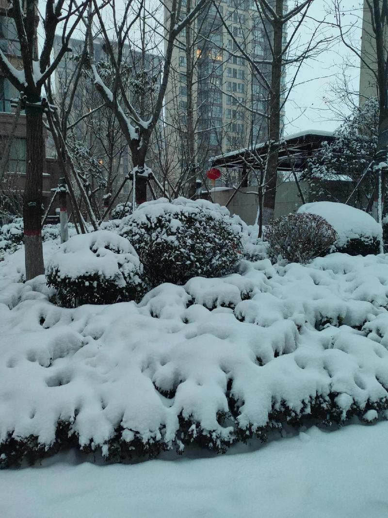 天气预报最近30天那天下雪了，天气预报下雪吗-第6张图片-优品飞百科
