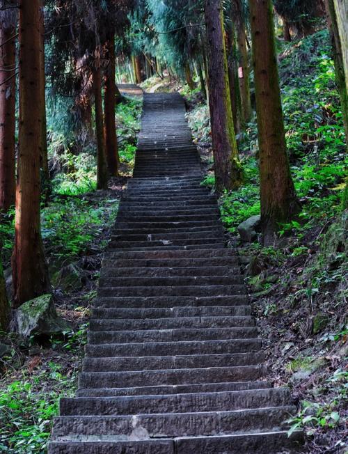 成都金牛区天气预报，成都金牛区天气预报7天查询结果-第3张图片-优品飞百科