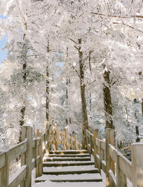 成都金牛区天气预报，成都金牛区天气预报7天查询结果-第5张图片-优品飞百科