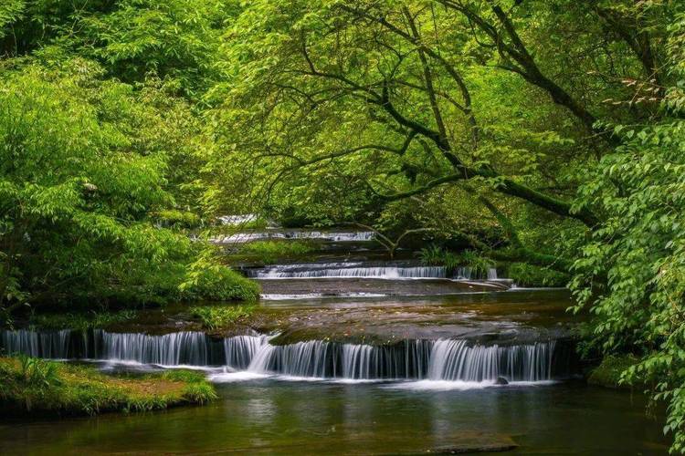 天气预报天台？天气预报天台15天查询？-第2张图片-优品飞百科