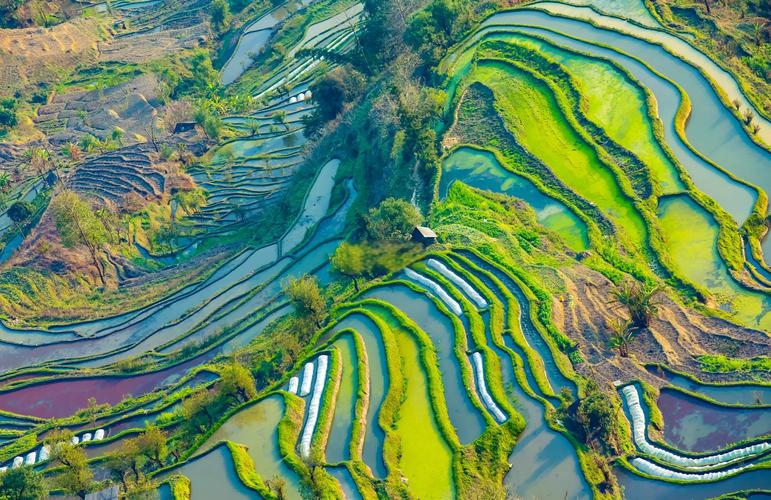 云南师宗天气预报，云南师宗天气预报30天查询-第2张图片-优品飞百科