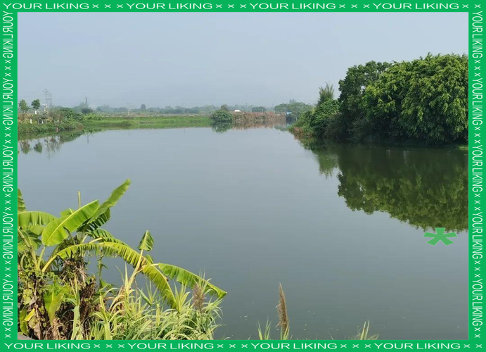 天气预报海丰，天气预报海丰东盛路-第5张图片-优品飞百科