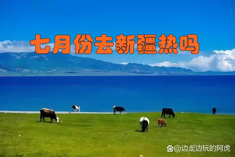 新疆北疆天气预报，新疆近期天气预报15天-第5张图片-优品飞百科