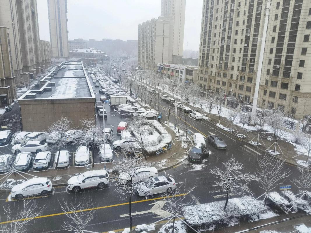 公主岭一周天气预报？预报公主岭天气预报？-第4张图片-优品飞百科