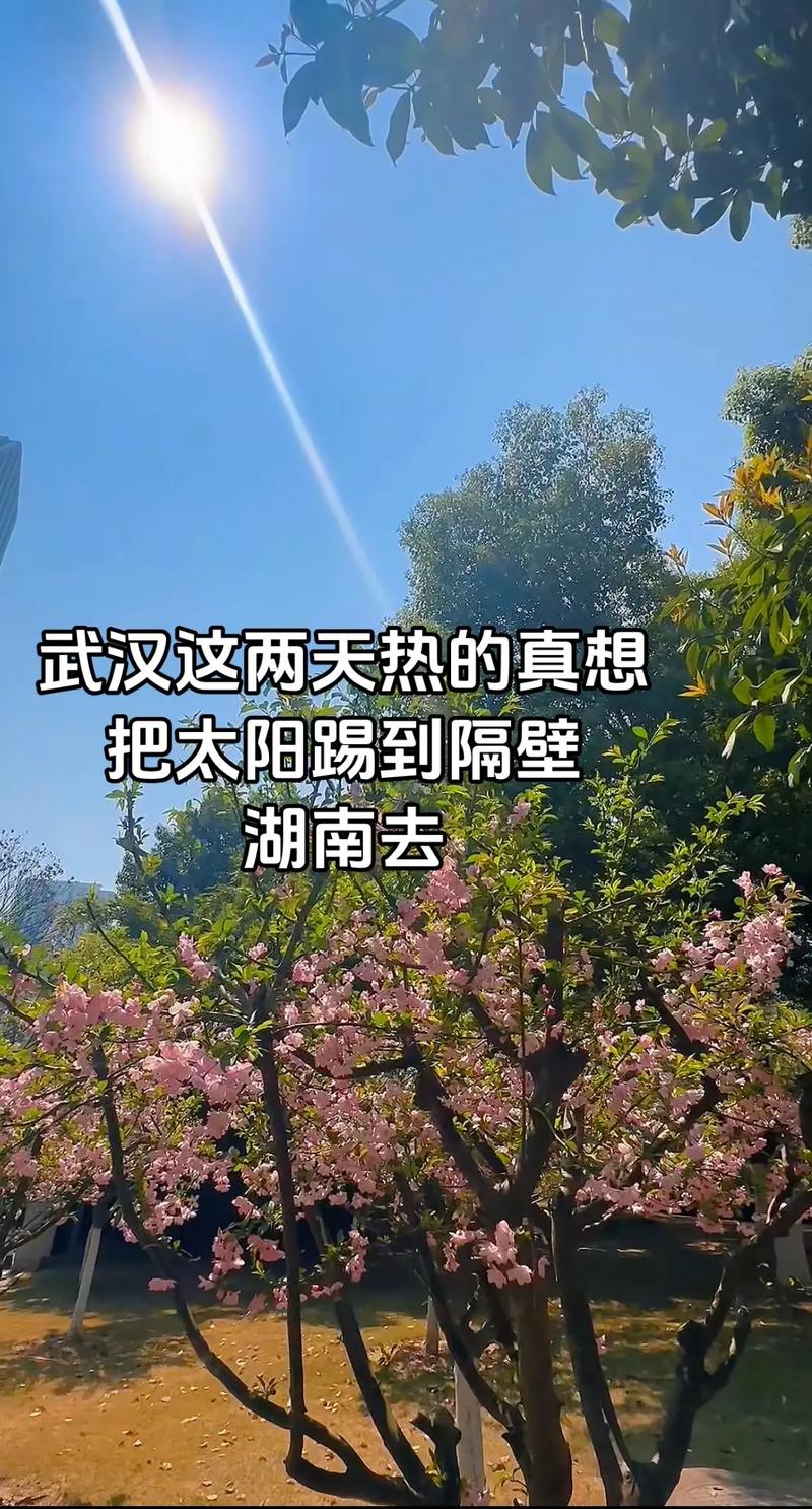 一周天气预报武汉？一周天气预报武汉15天？-第3张图片-优品飞百科