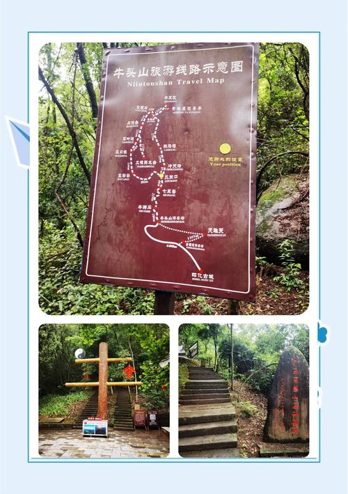 武义24小时天气预报？武义天气15天预报查询？-第7张图片-优品飞百科