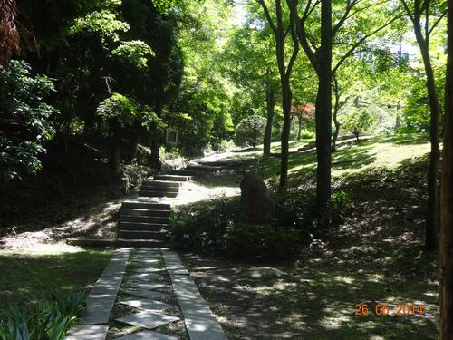 泸州市江阳区天气预报,泸州市江阳区天气预报15天查询结果?-第5张图片-优品飞百科 泸州市江阳区天气预报,泸州市江阳区天气预报15天查询结果?-第5张图片-优品飞百科