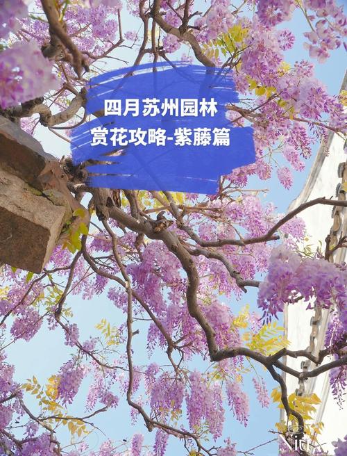 苏州虎丘区天气预报，苏州虎丘区天气预报七天？