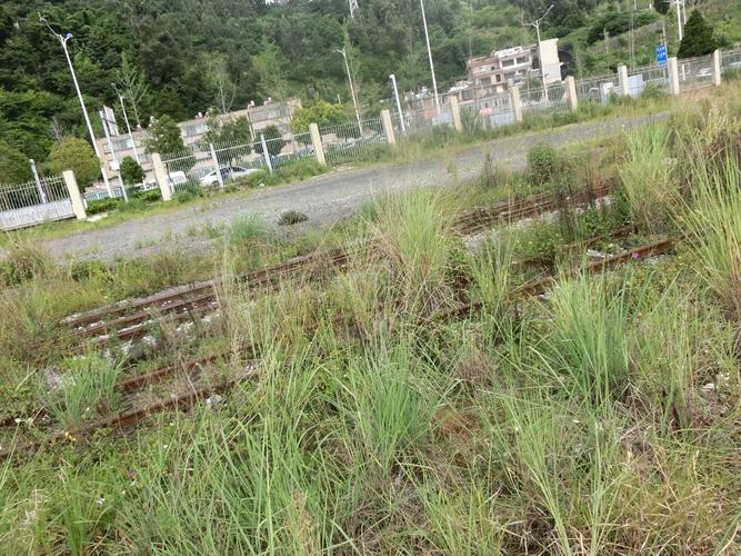 云南沾益天气预报，曲靖沾益天气预报40 天-第2张图片-优品飞百科