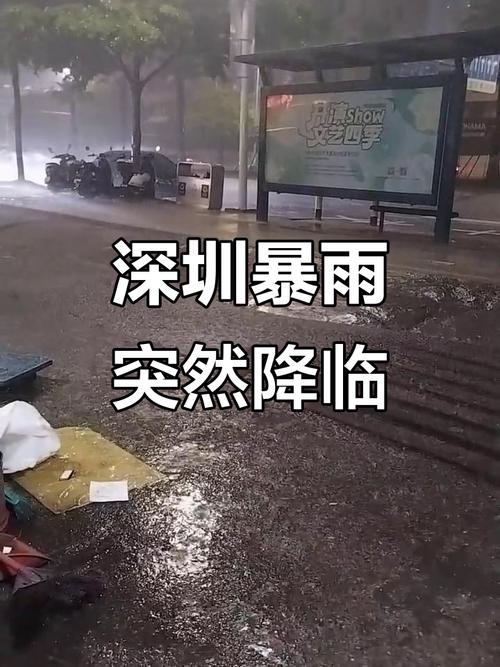 宝安区天气预报，宝安区天气预报一周？-第4张图片-优品飞百科