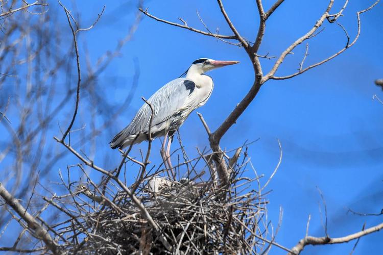 镇赉一周天气预报？镇赉 天气？-第5张图片-优品飞百科
