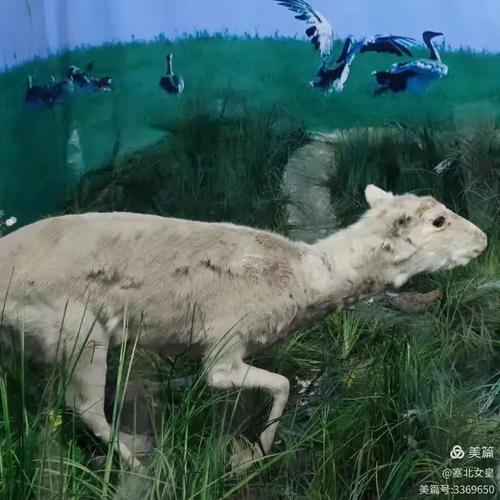 镇赉一周天气预报？镇赉 天气？-第6张图片-优品飞百科