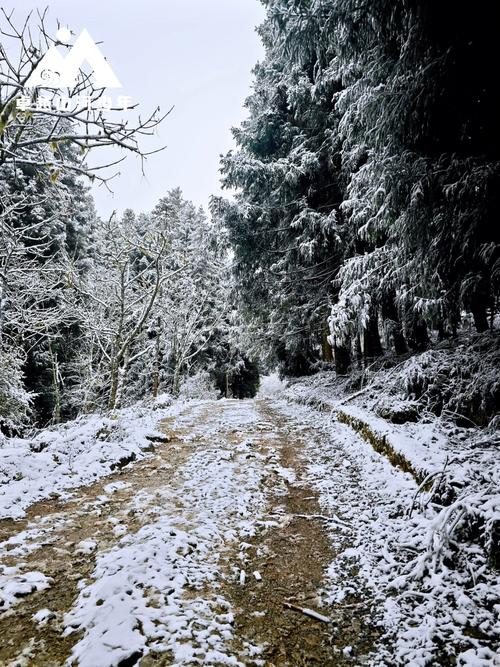 彭水县天气预报？彭水县天气预报15天准确？-第4张图片-优品飞百科