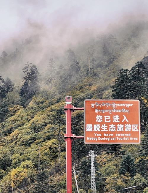 墨脱天气预报，今天墨脱天气预报-第6张图片-优品飞百科