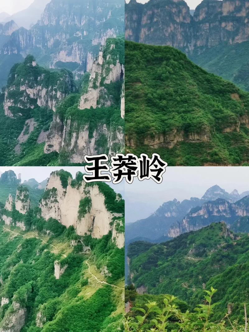 王莽岭景区天气预报，王莽岭景区天气预报一周-第1张图片-优品飞百科