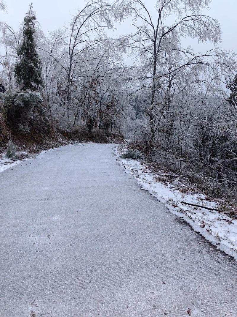 贵州台江天气预报，贵州台江天气怎么样？-第6张图片-优品飞百科
