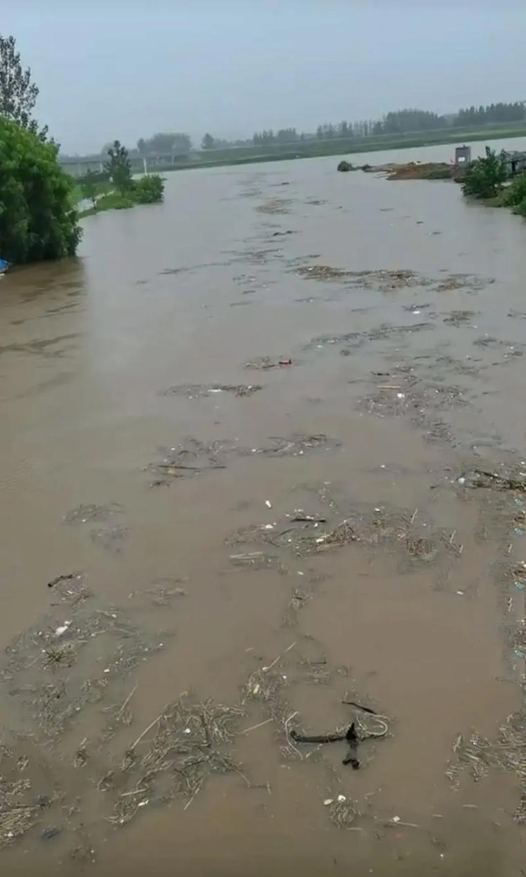 陕西大荔天气预报15天,陕西大荔天气预报15天查询最新消息-第3张图片-优品飞百科 陕西大荔天气预报15天,陕西大荔天气预报15天查询最新消息-第3张图片-优品飞百科