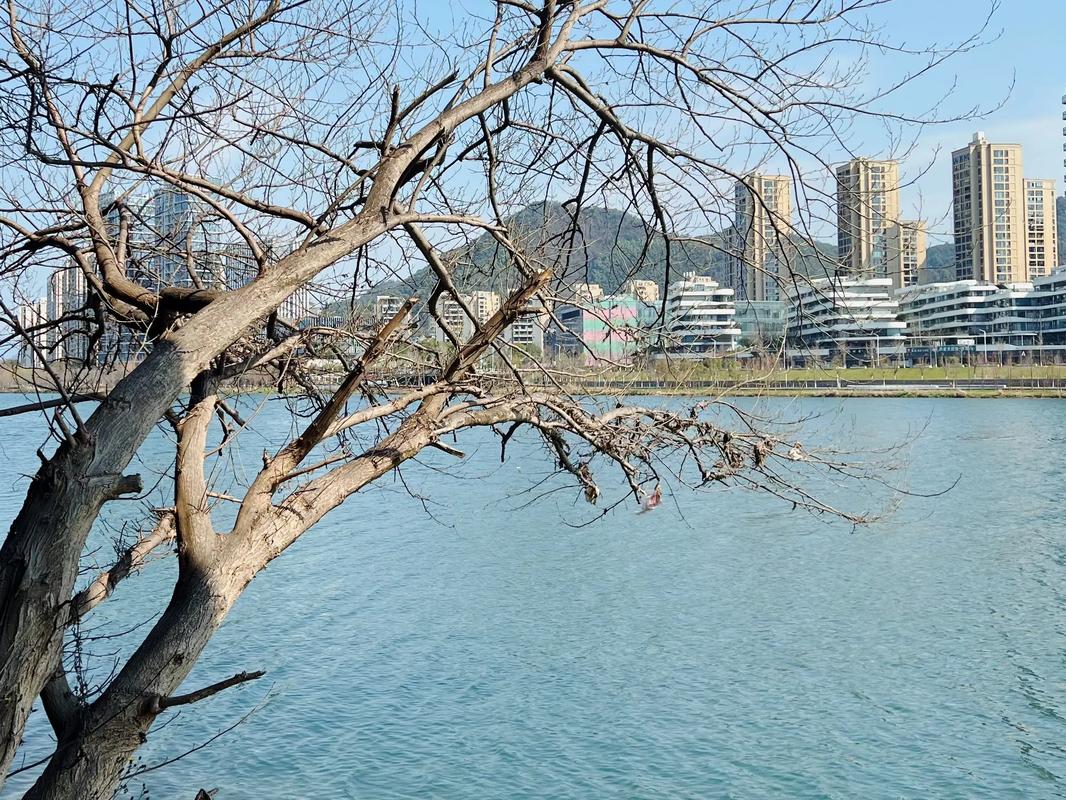 杭州千岛湖天气预报，杭州千岛湖天气预报一周7天查询？-第4张图片-优品飞百科