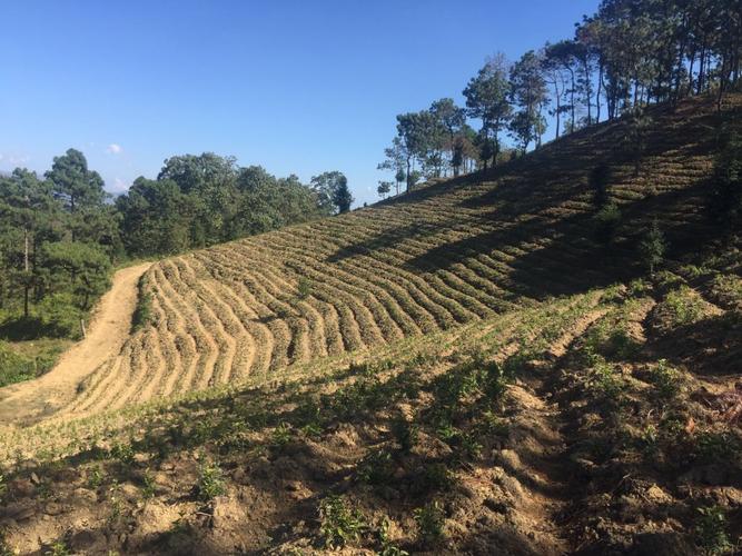 安龙天气预报，兴义天气预报？-第5张图片-优品飞百科