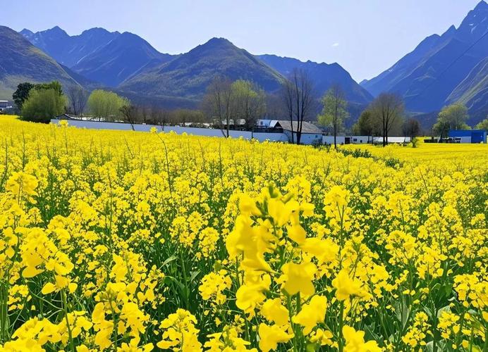 铜川市王益区天气预报?铜川王益区天气预报30天?-第2张图片-优品飞百科 铜川市王益区天气预报?铜川王益区天气预报30天?-第2张图片-优品飞百科