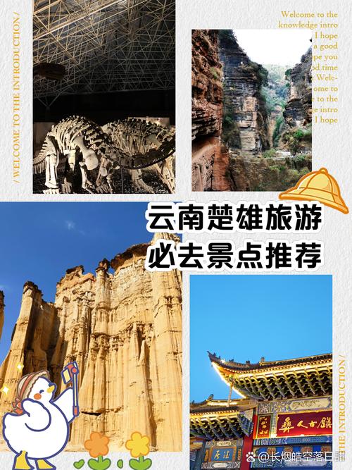 楚雄武定天气预报,武定天气预报一周7天晚上天气-第3张图片-优品飞百科 楚雄武定天气预报,武定天气预报一周7天晚上天气-第3张图片-优品飞百科