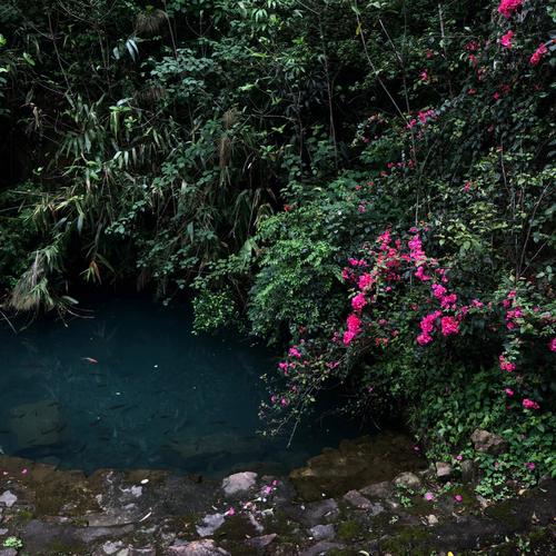 肇庆15天气预报？肇庆天气预报15天查询百度一下？-第5张图片-优品飞百科