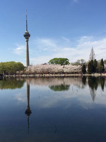 北京海淀区15天气预报，北京海淀区天气预报今明后三天-第3张图片-优品飞百科