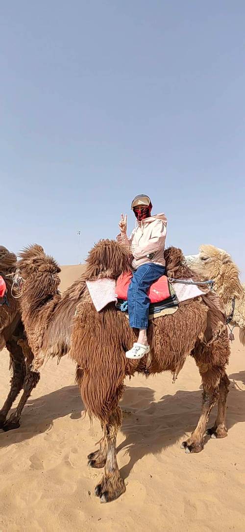 沙坡头天气预报，沙坡头天气预报今明后三天-第7张图片-优品飞百科