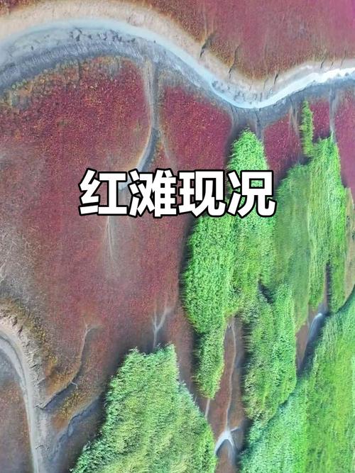 盘锦天气预报一周？天气预报24小时详情软件？-第4张图片-优品飞百科