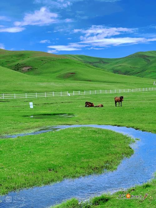 大海草山天气预报，大海草山世界滑雪场天气预报？-第1张图片-优品飞百科