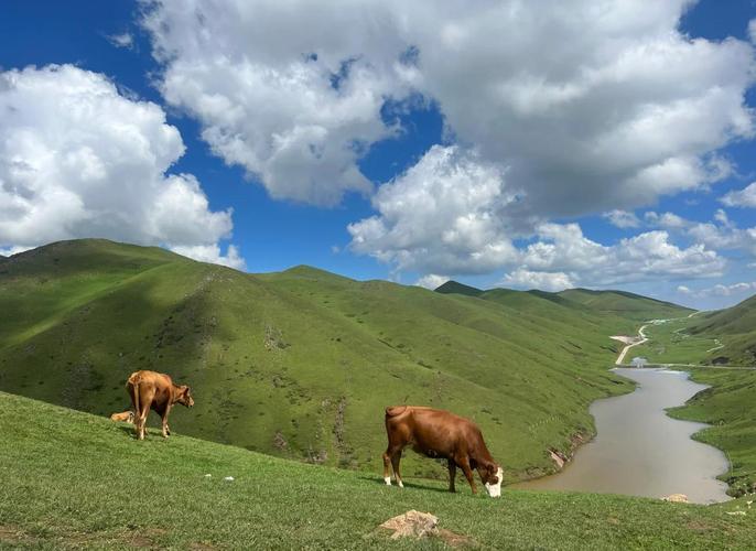 大海草山天气预报，大海草山世界滑雪场天气预报？-第2张图片-优品飞百科