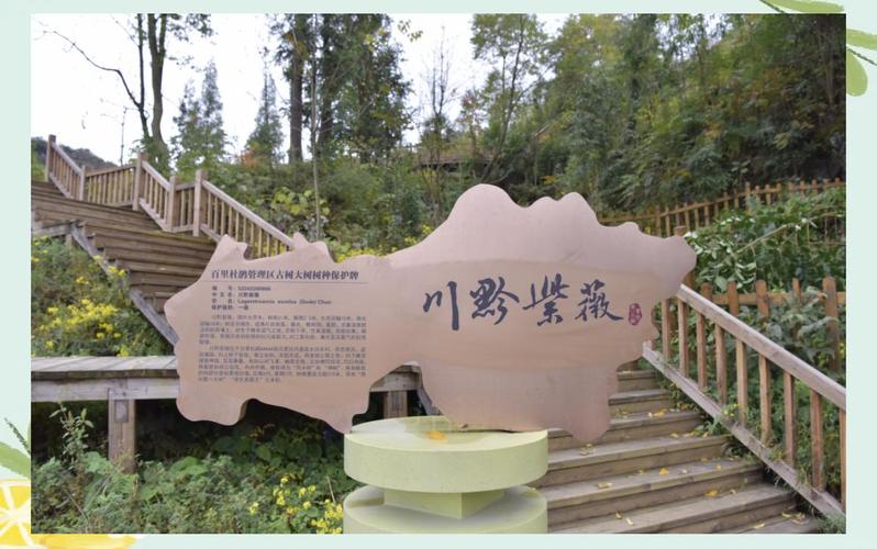 贵阳明天的天气温度是多少，贵阳明天的天气预报？