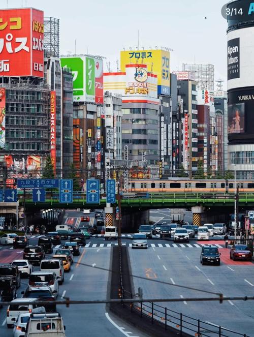 东京天气预报，东京天气预报15天-第4张图片-优品飞百科