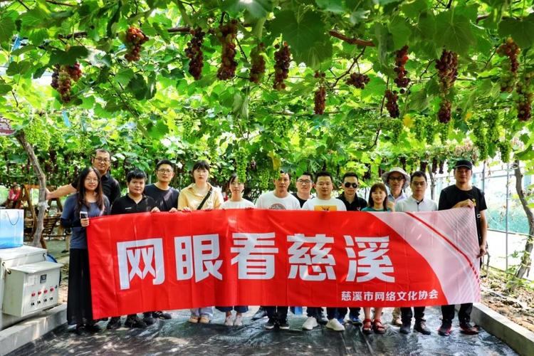 新浦天气预报，连云港新浦天气预报-第6张图片-优品飞百科