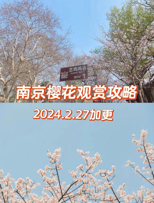 南京雨花台实时天气，南京雨花台天气预报24小时？