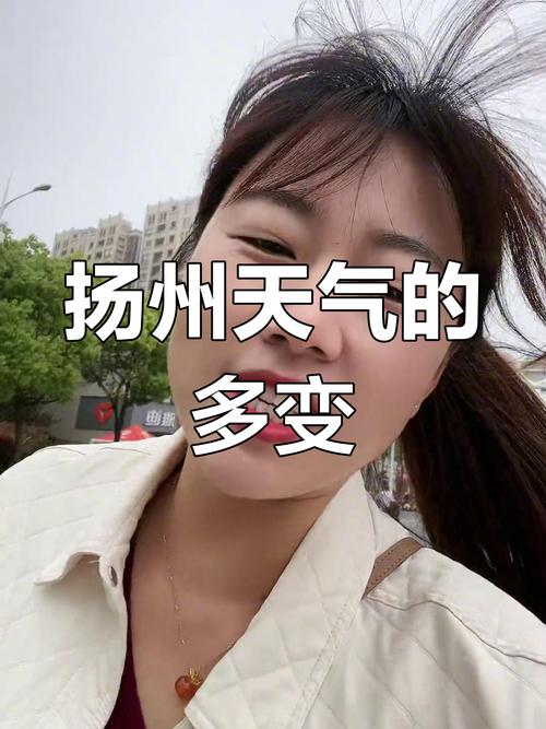 扬州天气预报48小时，扬州天气预报15天30天10？-第3张图片-优品飞百科